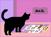 gato_recebendo_e-mail